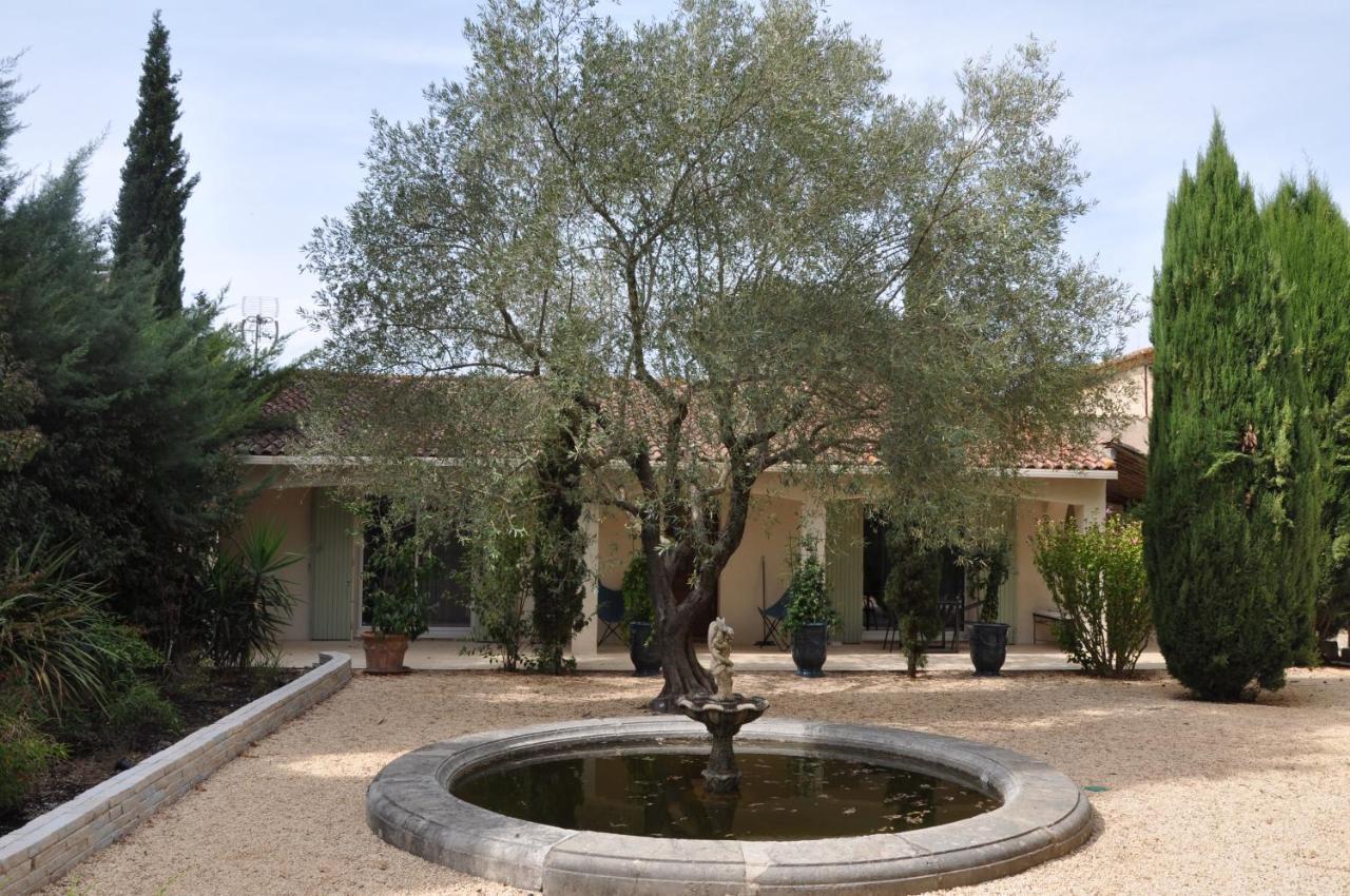 מונפלייה Chambres D'Hotes Sous L'Olivier מראה חיצוני תמונה